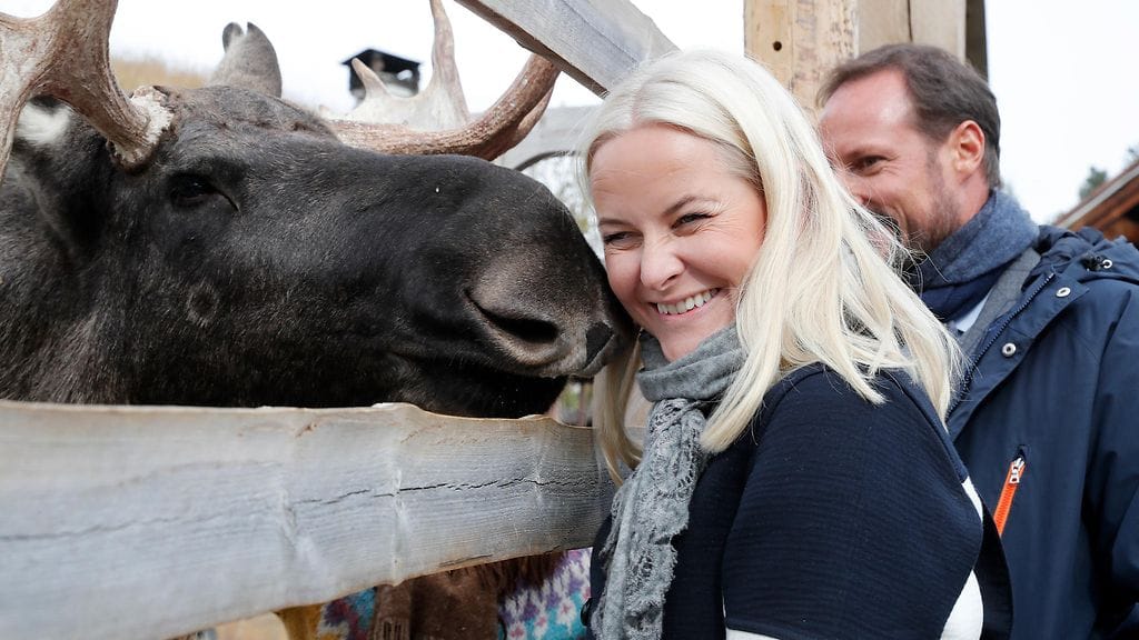 Norjan kruununprinsessa Mette-Marit kohtasi hirven.