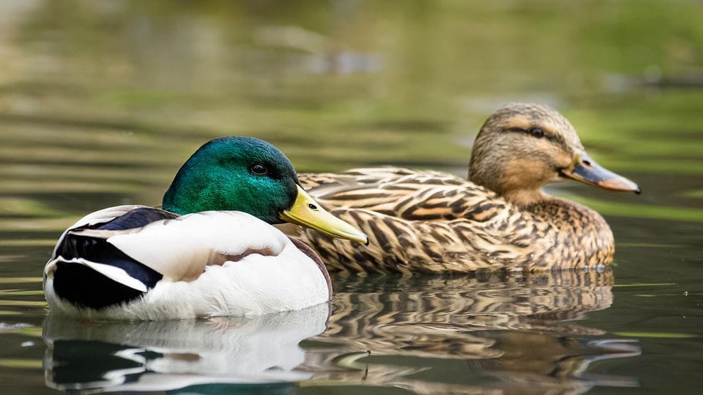 Kuvan sorsat eivät liity tapaukseen.