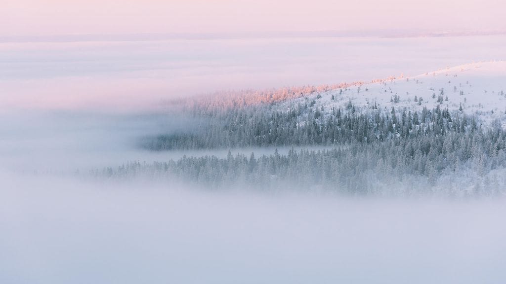 3101-LUONTOKOHDE-KUVA6