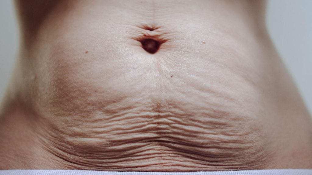 shutterstock_1393985894