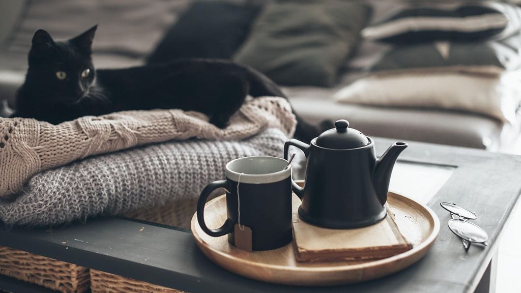 kuppi kuumaa ja kissa