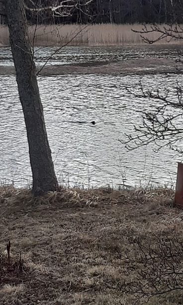 WhatsApp Image 2020-04-23 at 11.10.29