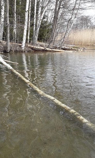 WhatsApp Image 2020-04-23 at 11.10.53