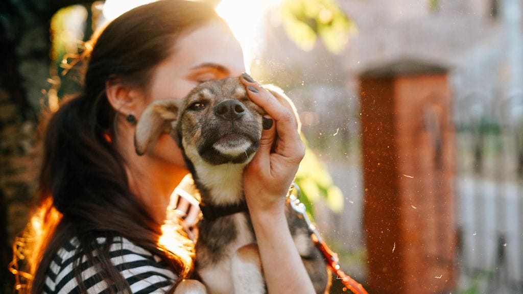 shutterstock_1122523280