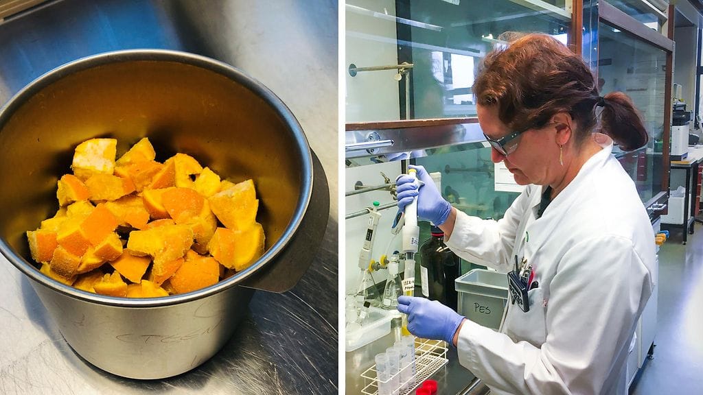 Appelsiinien tutkimista tullissa vuonna 2020.