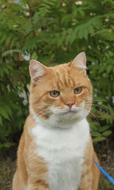 103097755_200363784435007_6852705615109928378_n