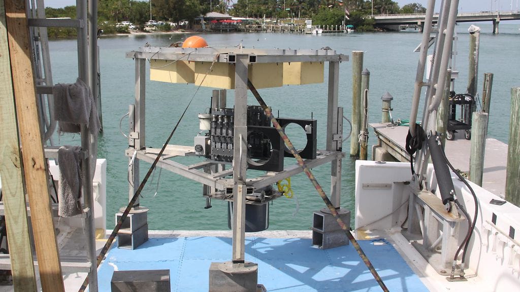 Amberjack Hole sininen aukko laite