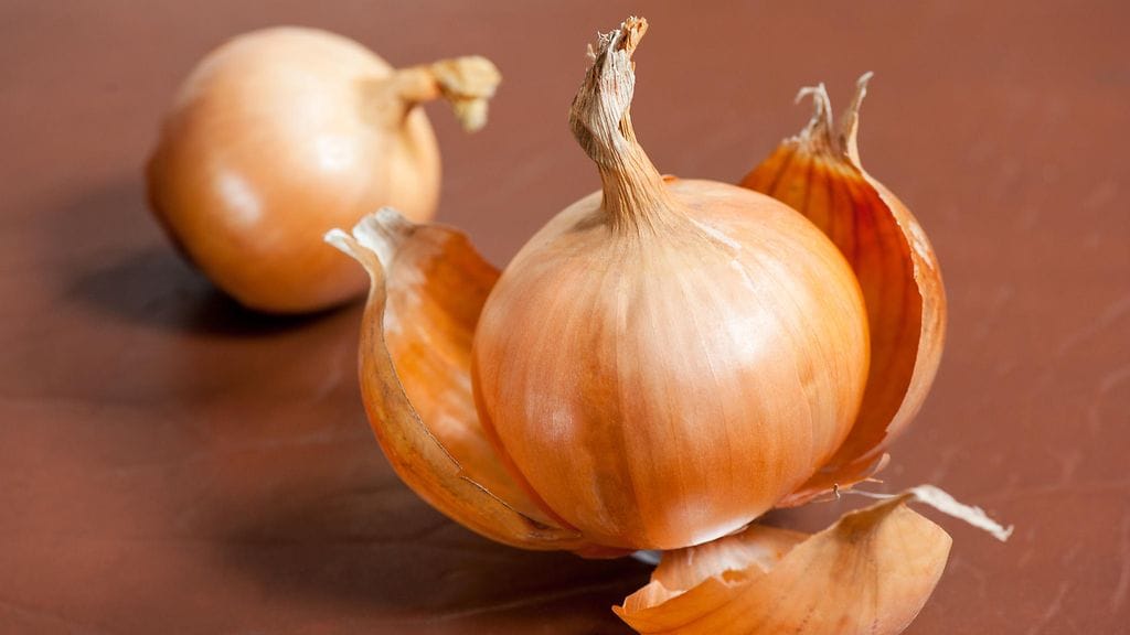 shutterstock_138121343