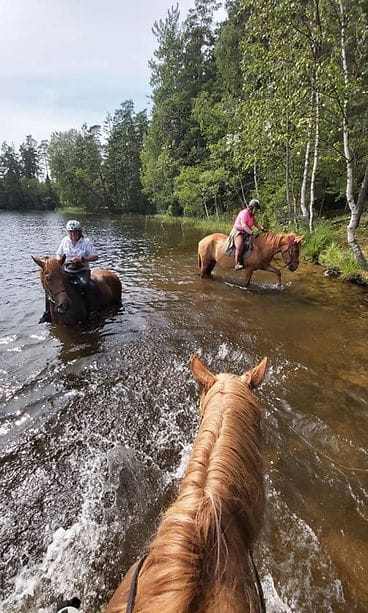 matkaratsastus, metsäreitti, kuva:lampisen, kokkosen ja mäntysen kotialbumi