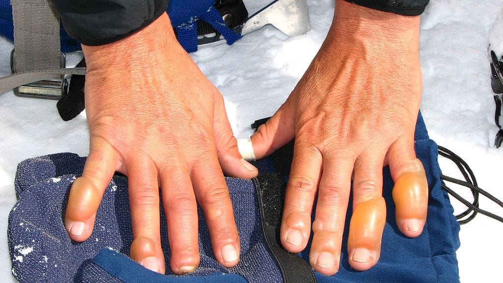 shutterstock_221321356