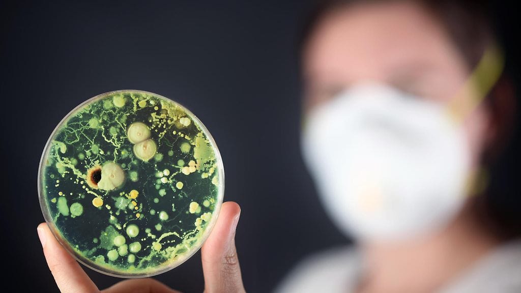 Ruotsin kansanterveysvirasto kertoo uudesta tutkimuksesta, jonka mukaan vastustuskykyisempien bakteerikantojen määrät ovat nousseet vauhdilla.