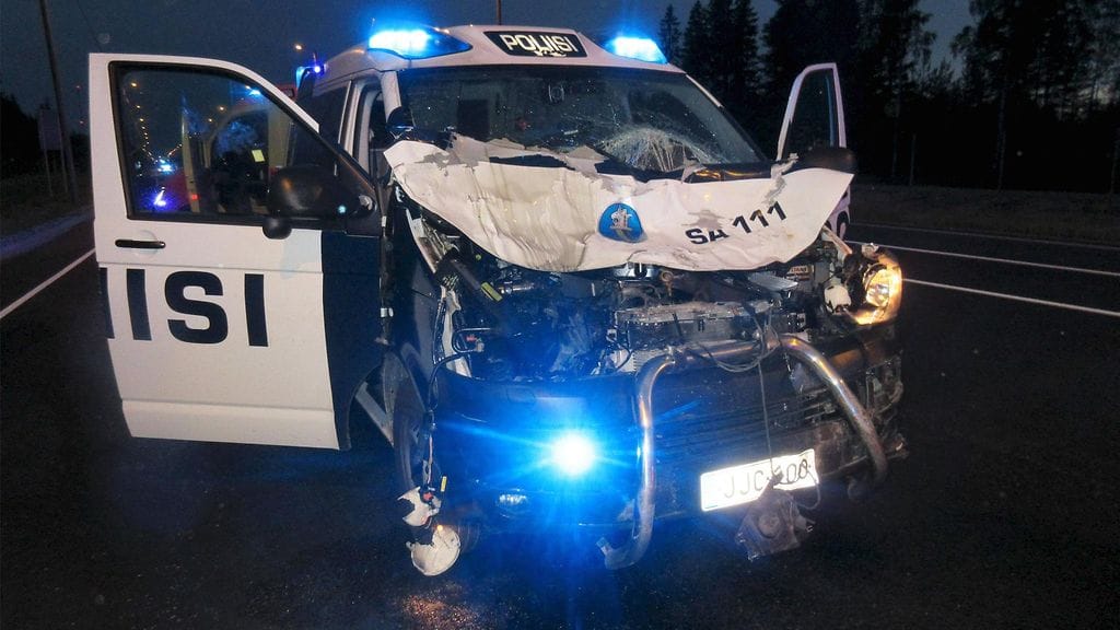 Neljä helppoa tapaa pienentää hirvikolarin riskiä