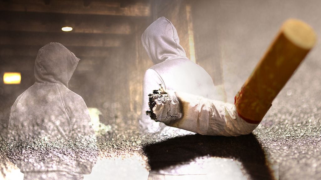 Myös Suomessa tupakkalain tavoitteena on, että tupakka- ja muiden nikotiinituotteiden käyttö loppuu vuoteen 2030 mennessä.