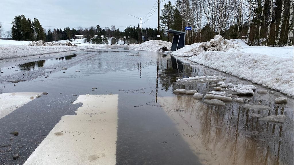 Tienpito, kelirikko, vesilammikko