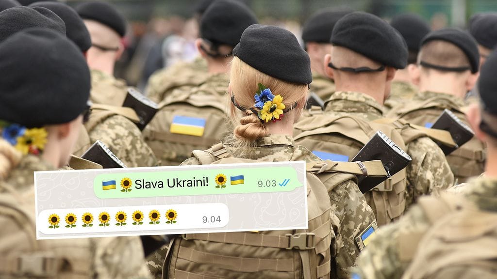 shutterstock_2029545419 copy