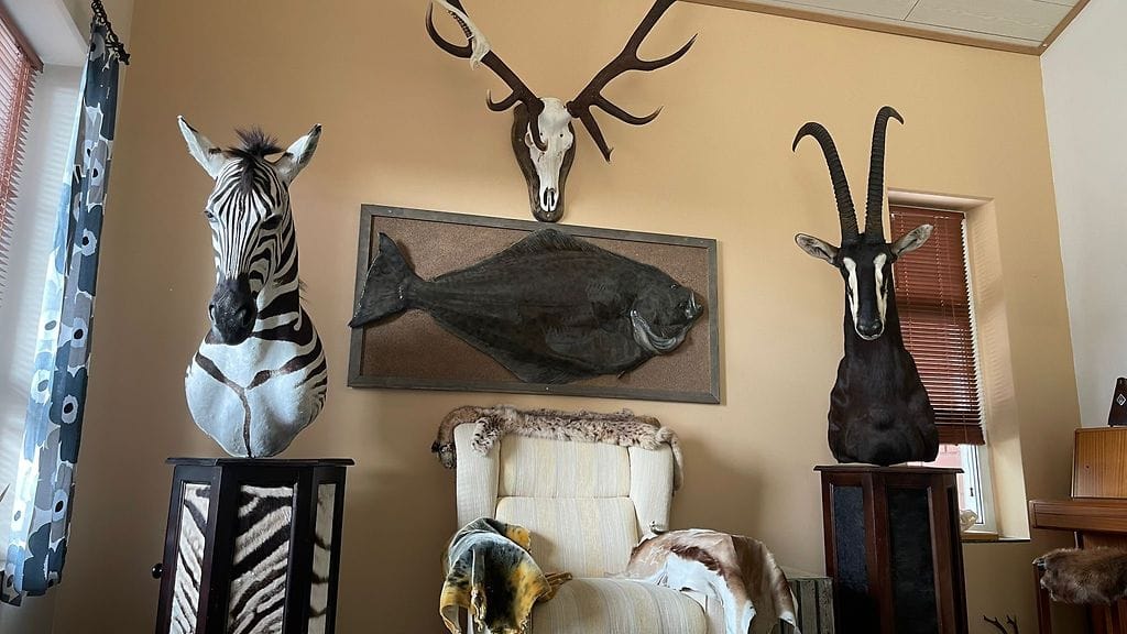 Tomilla on 117 eläimen kokoelma kotonaan.