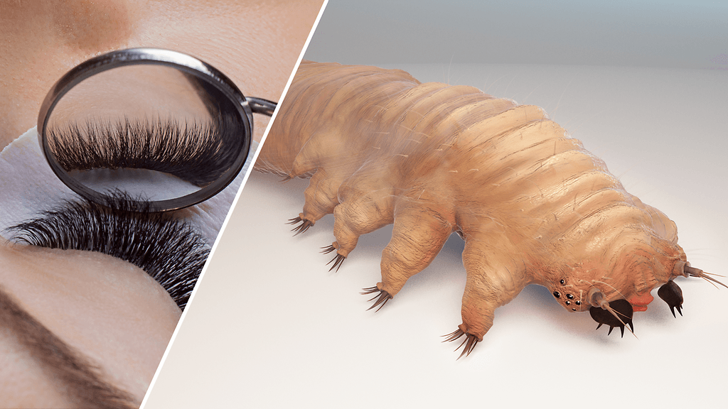 Talipunkkeja eli ripsipunkkeja löytyy lähes jokaisen ihmisen iholta.