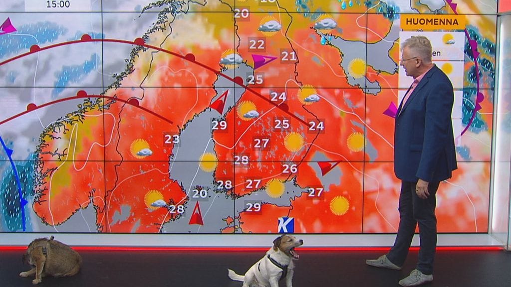OMA: Sini-koira, Frezzo-koira, Pekka Pouta
