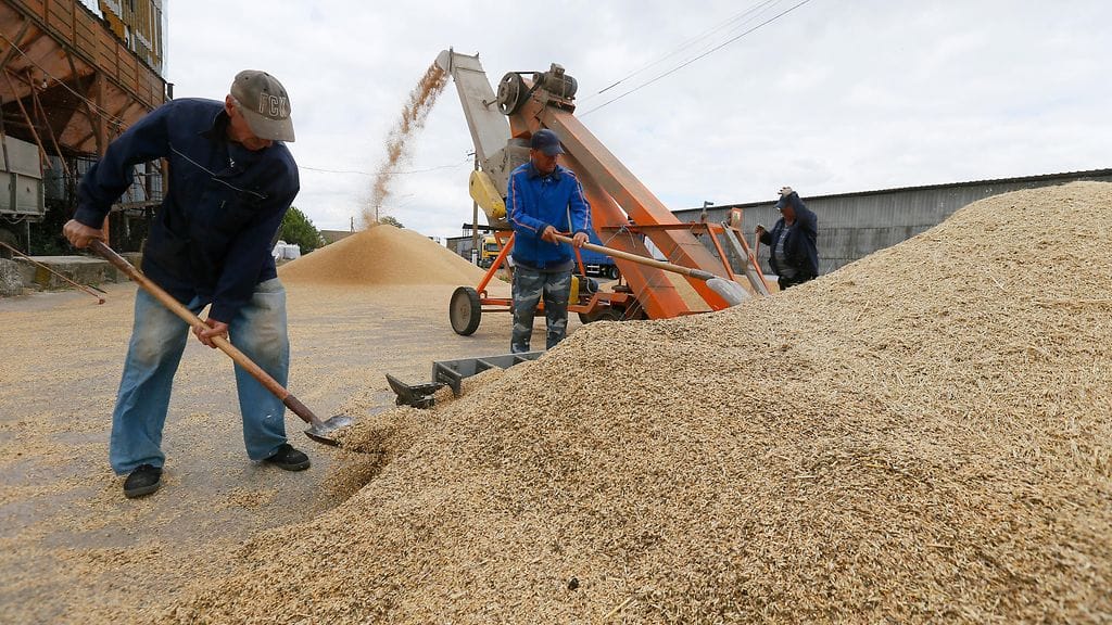 Ukrainalaiset maanviljelijät Odessassa.