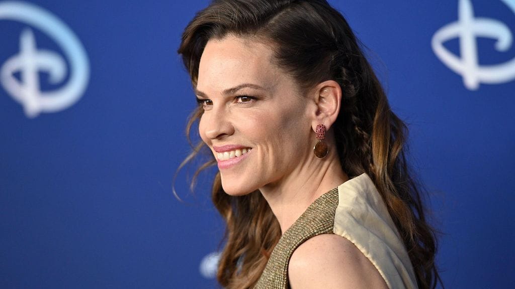 Näyttelijä Hilary Swank sai kaksin kappalein perheenlisäystä.