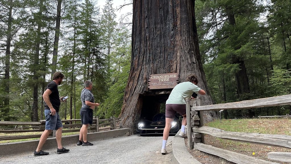 Kalifornian Leggettissä sijaitsevassa puistossa on voinut 1930-luvulta lähtien ajaa autolla Chandelieriksi nimetyn puun läpi.