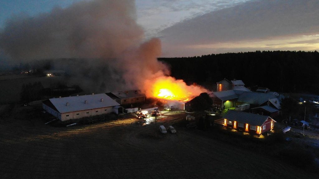 Sikalan palo Uusikaarlepyy