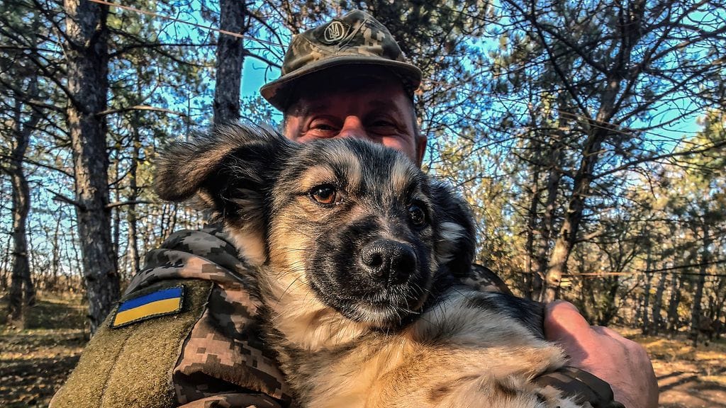 AOP Ukraina Herson koira