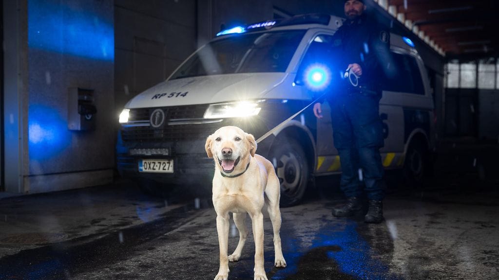 virkakoira poliisi