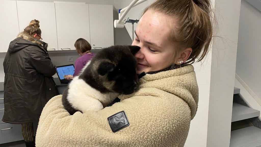 eläinlääkäri airola 1