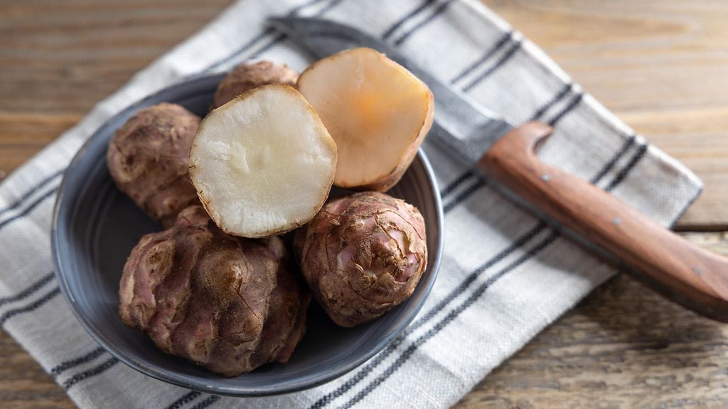 shutterstock_1902100924