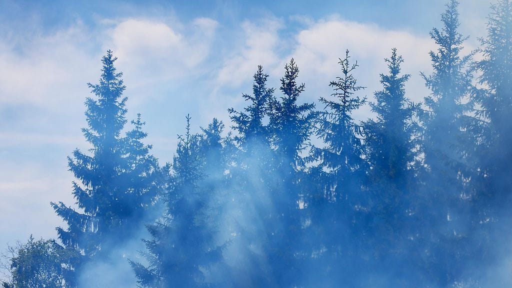 Kuvituskuva on Kolin kaskenpoltosta kesäkuulta 2021.