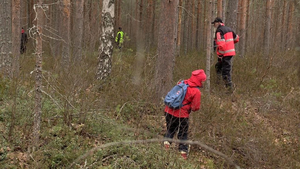 asmus Takaluoman etsinnät 2