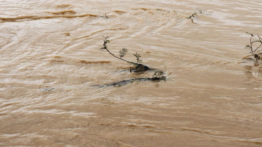 15 lasta on kuollut ja 25 kateissa veneen kaaduttua Nigeriassa.