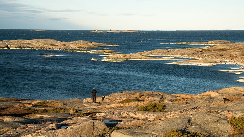 Kansalaisten tekemiä havaintoja levätilanteesta kerätään Järvi-meriwiki-palvelussa.