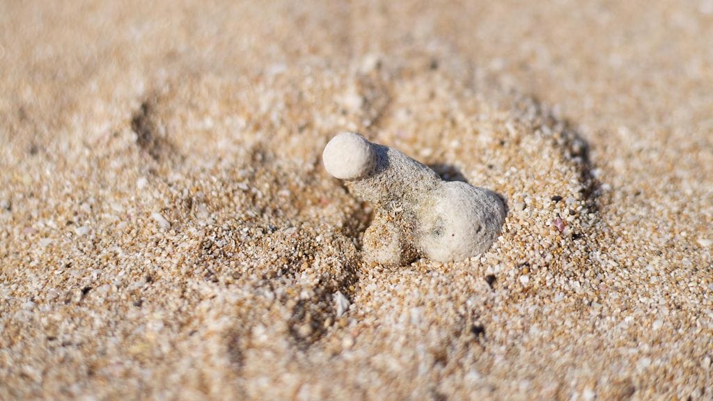 peniksen muotoinen kivi