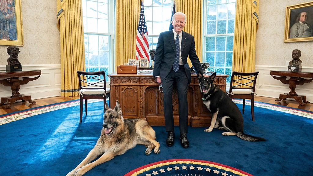 Joe Biden koirat