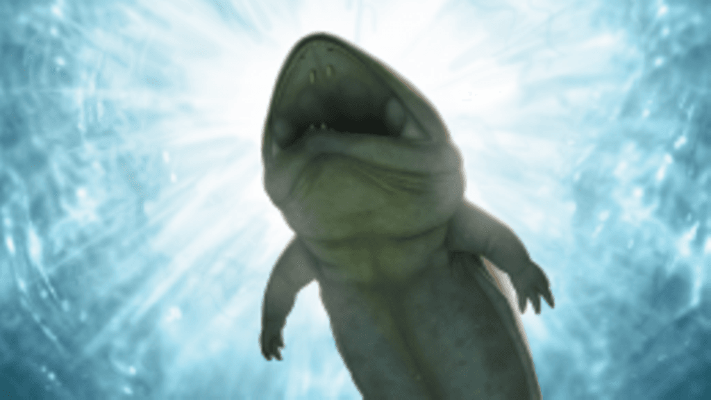 Taiteilijan näkemys Aranaerpeton supinatuksesta, nykyisen kiinalaisen jättiläissalamanterin esi-isästä.