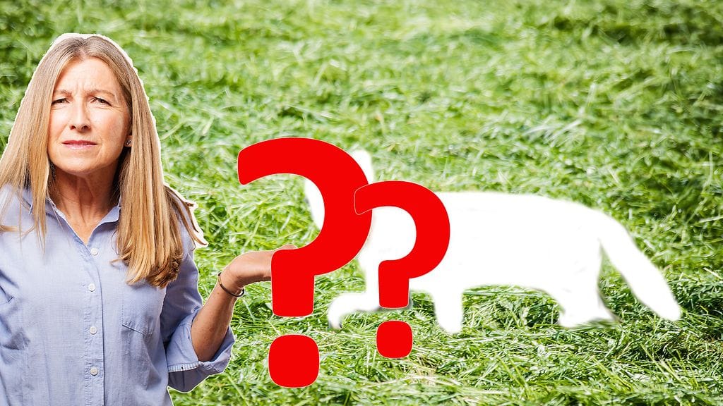 Mystinen hahmo kummastuttaa Texasissa. Kuvituskuva.