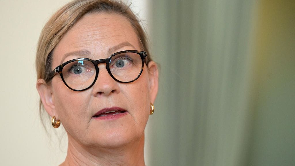 RKP:n kansanedustaja Eva Biaudet haluaa asettua ehdolle kesäkuun europarlamenttivaaleihin, kertovat Helsingin Sanomat ja Hufvudstadsbladet.