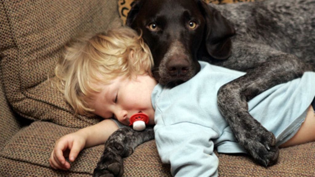 Lehtikuva/Jussi Nukari