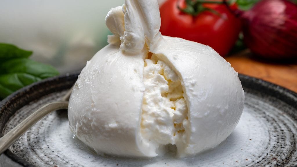 burrata