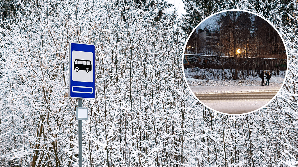 Jyväskyläläinen Anssi Koskinen nappasi koiralenkillä suomalaisia täydellisesti kuvaavan otoksen bussipysäkillä.