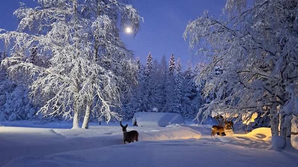 Lukijan kuva: Kuvattu 28.12.23 aamu yhdeksältä.