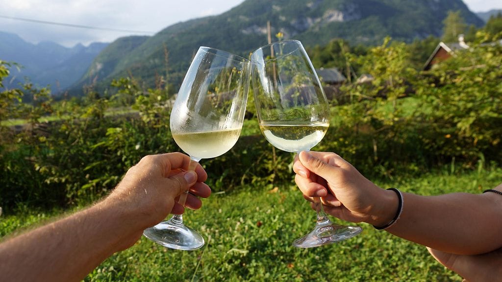 grüner vertliner, valkoviini