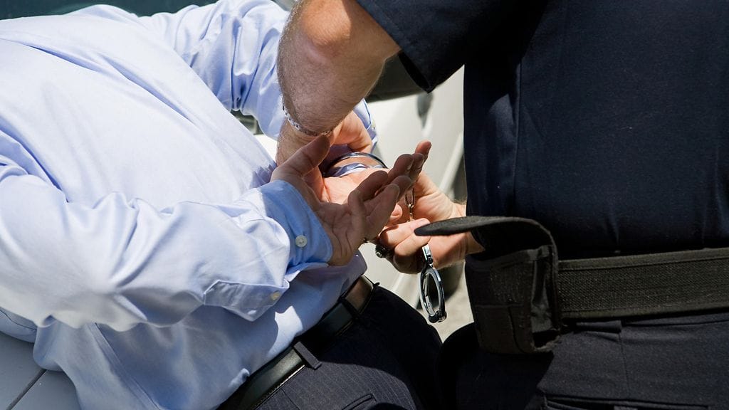 Pidätyksen yhteydessä detroitilaismiehen taskusta löytyi koira. Kuvituskuva.