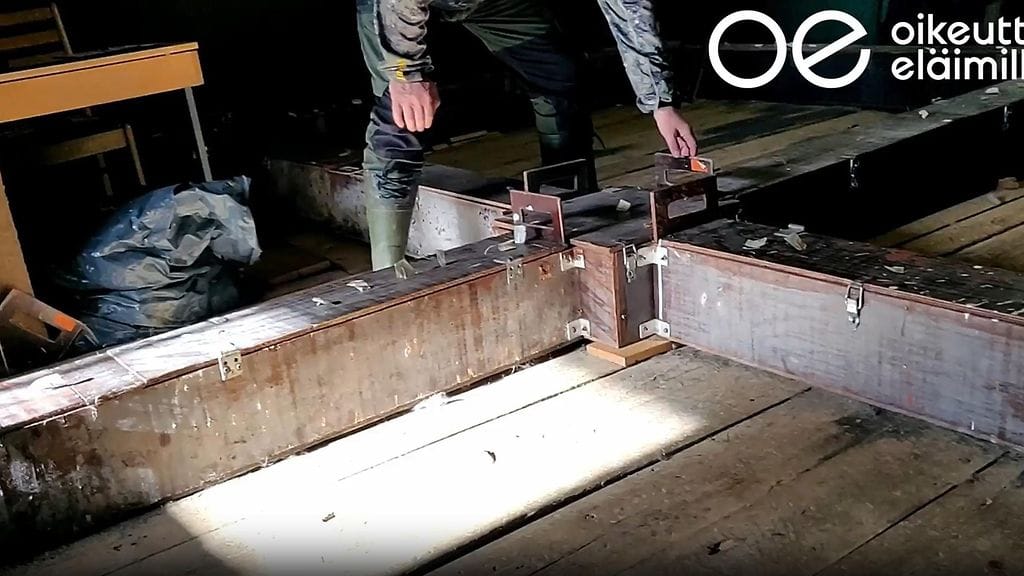 129267147 luolakoira