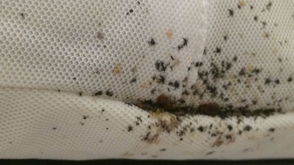 Lutikan jälkiä patjassa Tukes