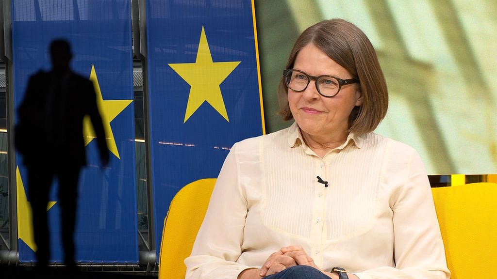 Mitä EU-parlamentti opetti, Heidi Hautala