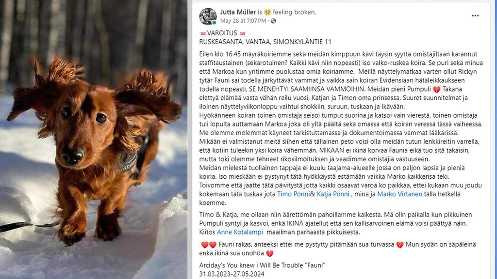 Mäyräkoira Fauni, 1, jouduttiin lopettamaan toisen koiran hyökättyä sen kimppuun.