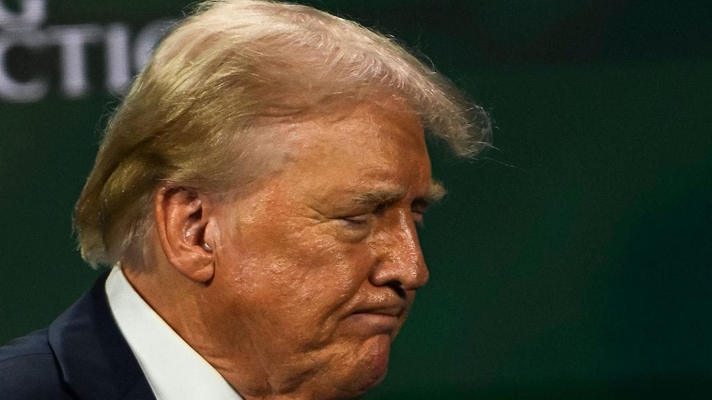 Yhdysvaltain entisen presidentin Donald Trumpin korva kuvattiin ensimmäistä kertaa ilman sidettä salamurhayrityksen jälkeen 26. heinäkuuta 2024.